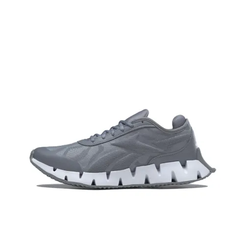 Reebok Zig Dynamica 3 Беговые кроссовки Низкий Топ Мужской