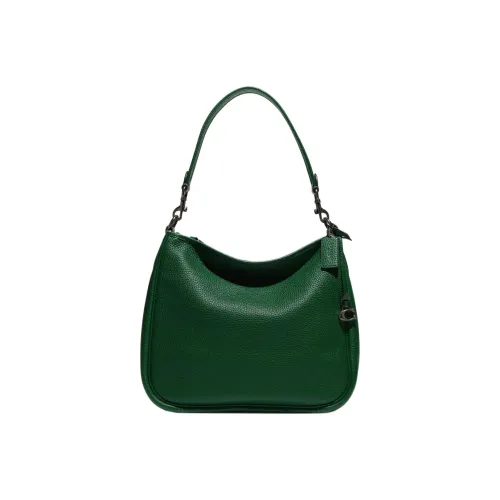 COACH Cary Кожа Сумка Сумка через плечо Женская Яшма