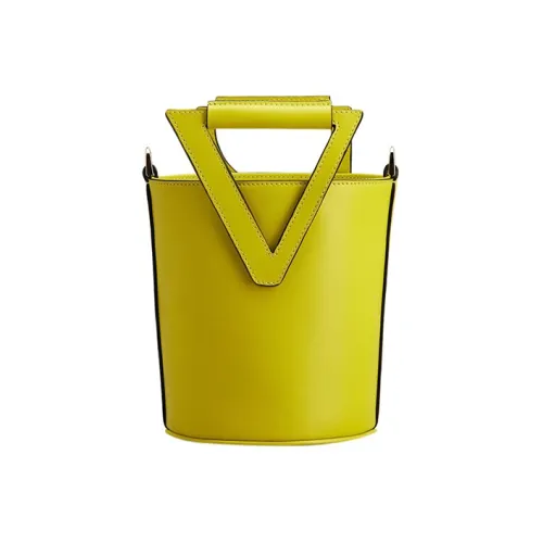 Roger Vivier Сумки Женские