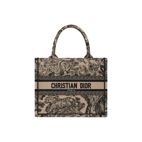DIOR BookTote Вышивка Сумка-тоут Сумка для покупок Сумка Маленькая Женская Коричневая