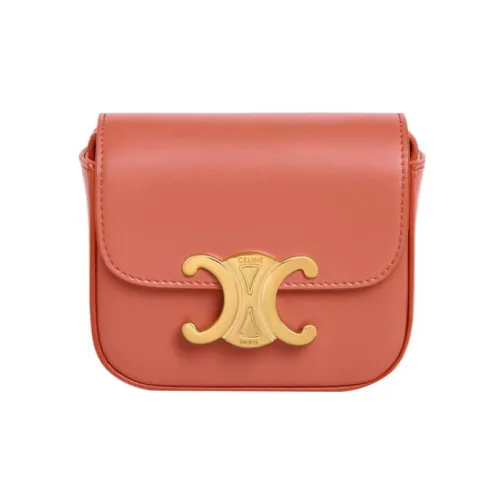 CELINE Triumph Gate Triomphe Коровья кожа Сумка через плечо Мини Женская Терракота
