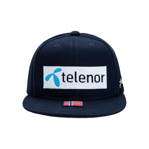 Phenix Бейсболка Унисекс Многоцветная