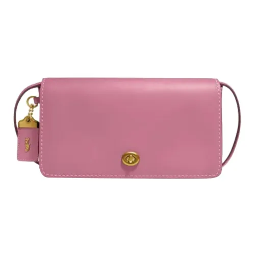 COACH Dinky Хромовая дубленая кожа гладкая отделка кожаная сумка через плечо женская