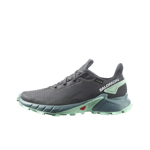 SALOMON Alphacross 4 Gore te Slip Resistant Abrasion Resistant Низкий Топ Уличная обувь Женская Серый