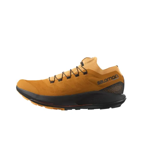 Кроссовки для бега Salomon Collaboration Pulsar Trail Low Top Мужские