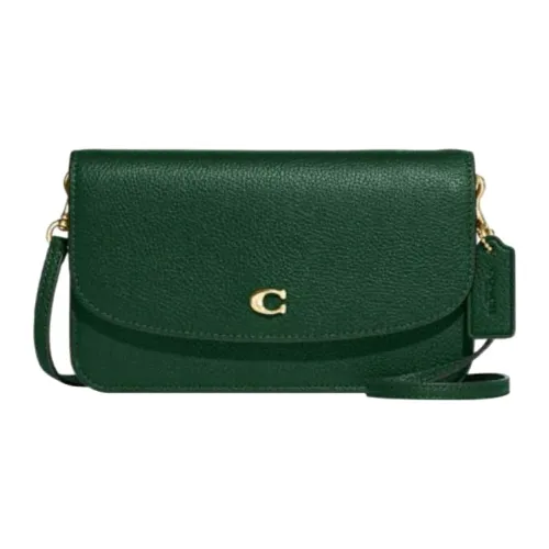 COACH Hayden Текстурированный кожаный клатч сумка через плечо маленькая женская глубокий сосновый зеленый