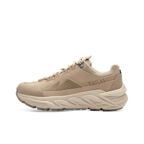 KAILAS Беговые кроссовки Low Топ Мужской