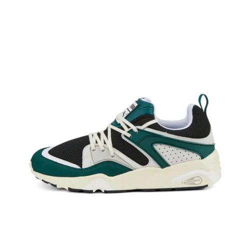 PUMA Blaze Of Glory Low Топ Casual Унисекс Зеленый Белый