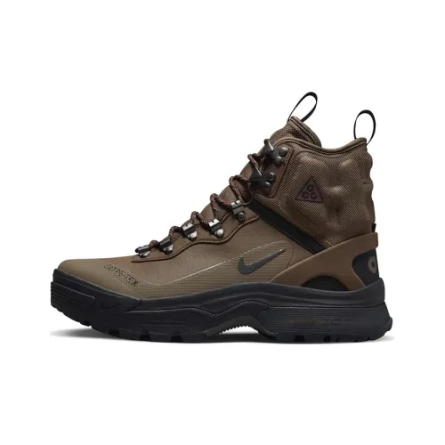 Nike ACG Air Zoom Gaiadome GTX Альпинистские и туристические ботинки Высокий верх Унисекс