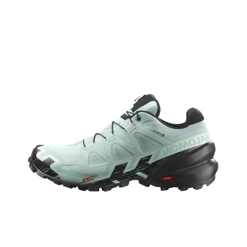 SALOMON Speedcross 6 Противоскользящий Устойчивый к износу Низкий Топ Альпинизм Походная обувь Женская Зеленый Черный