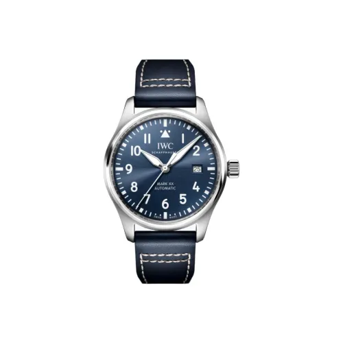 IWC Автоматический Механический Часы Мужской Pilot Collection 40 мм Синий