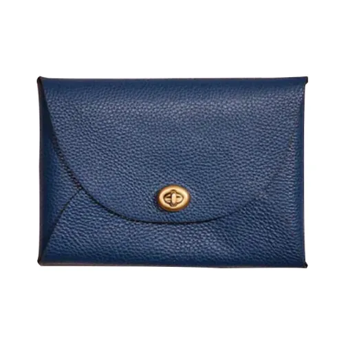 COACH Pouch Текстурированный Кожа Клатч Маленький Женский Синий