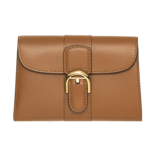 Delvaux Brillant Кошельки Женские