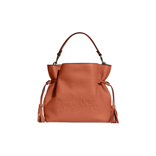 COACH Andy Утонченный Pebble Кожа Сумка Сумка через плечо Сумка через плечо Средняя Женская