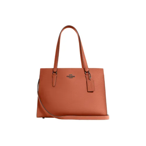 COACH Slim Wallet Двойная сторона кожаная сумка через плечо сумка большая женская закатный красный