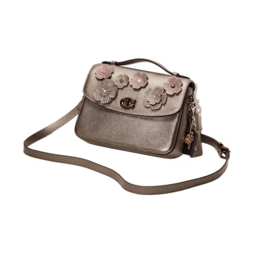 COACH Cassie Полированная кожа с галечным эффектом сумка через плечо сумка среднего размера женская металл графитовый