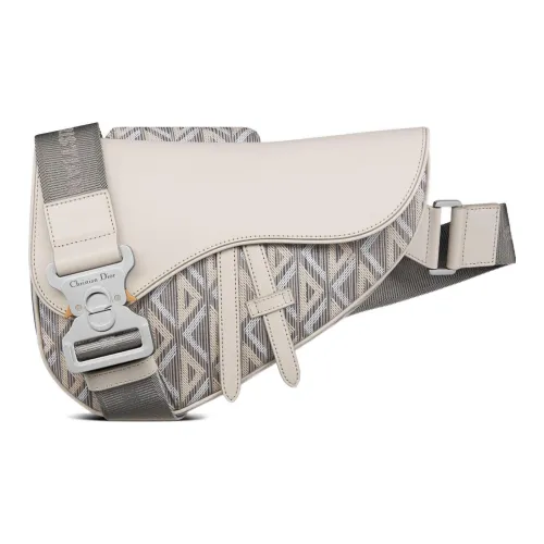 DIOR Седло Холст с кожей Седло Сумка Сумка через плечо Бананка Sling Сумка Мужская Серый Бежевый