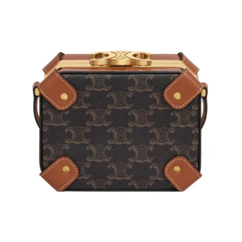 CELINE Triomphe Холст Панели Телячья Кожа Комбинированные Сумки через плечо Сумка на плечо Женская