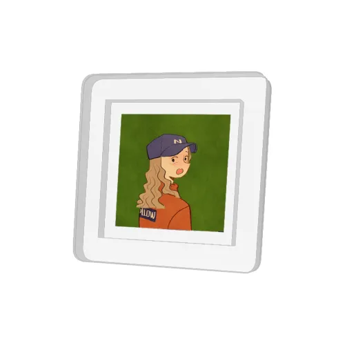 IP XIAOZHAN Упаковка без видимой продукции