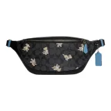 Сумка + Пылезащитный чехол