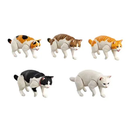 Ocean Church Очаровательная и Игривая Кошка Повседневная Жизнь Счастливая Рисунок Цельная Коробка 5 Упаковок