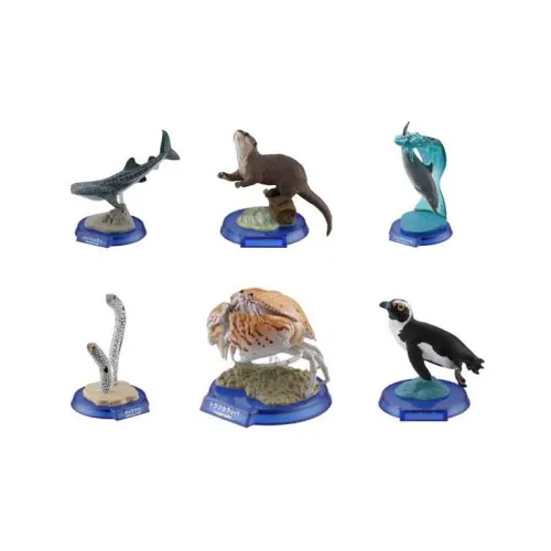 Ocean Church Aquarium Ограниченный Главный актер Море 3D-эффект Биологический Атлас Счастливый Рисунок Полный комплект из 6 шт