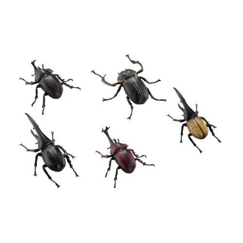 Ocean Church Capsule Q Museum Beetles Коллекция Lucky Draw Целая коробка 5 шт