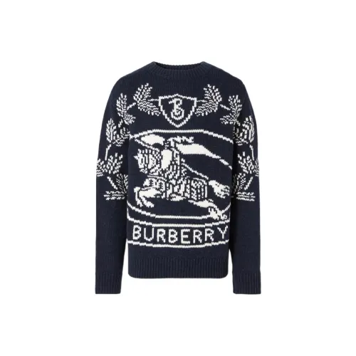 Burberry Синий Мужской Свитеры