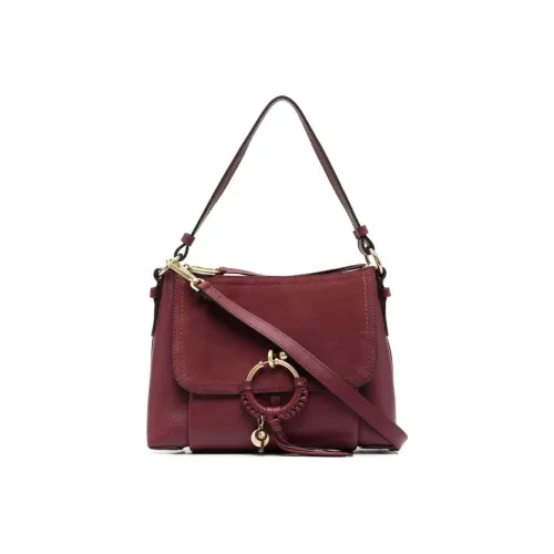 See By Chloe Hana Телячья кожа Сумка через плечо Сумка Женская Фиолетовая