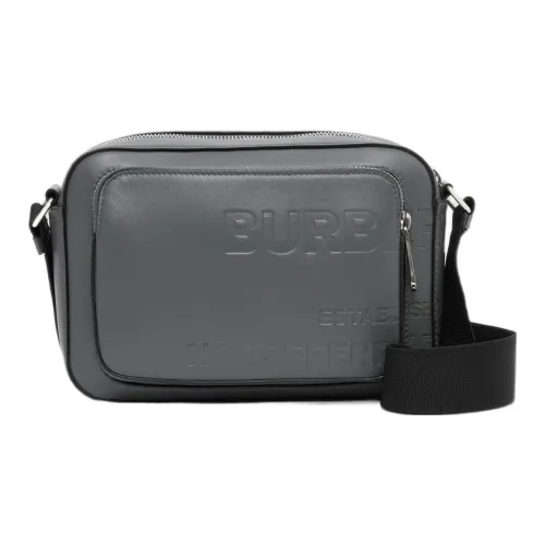 Burberry Horseferry Телячья кожа Сумка через плечо Стандартная Мужская Серый