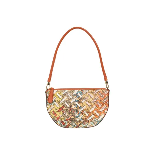 Burberry OLYMPIA Телячья кожа Сумка на одно плечо Женская Многоцветная