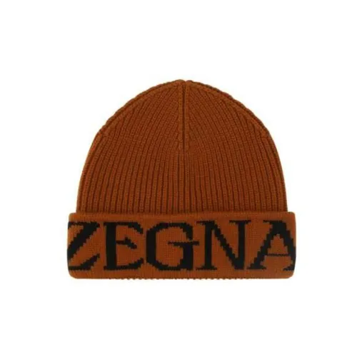 Ermenegildo Zegna Шерсть Бини Коричневый Мужской