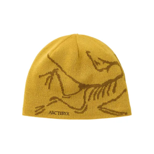 Arcteryx Шапки-бини Унисекс