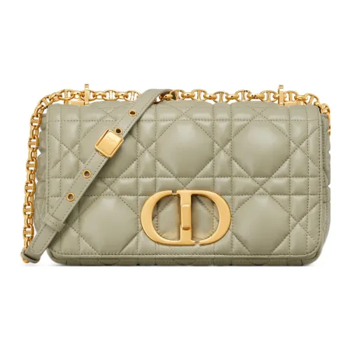 DIOR Caro Коровья кожа Ручная сумка через плечо Средняя Женская Серая Зеленая