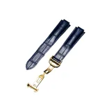 Синее золото, пряжка