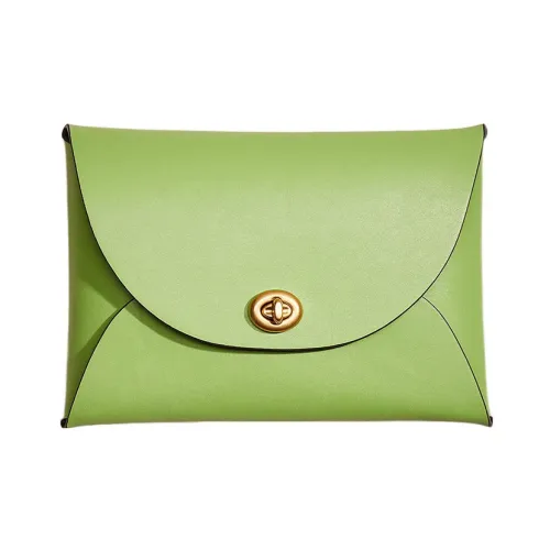 COACH Pouch Галечная кожа Сумка для документов Клатч Маленький Женский Лаймово-зеленый