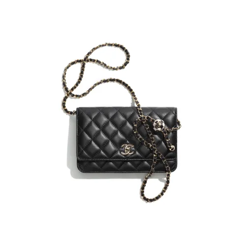 CHANEL 23C Early Spring Сумка через плечо Женская