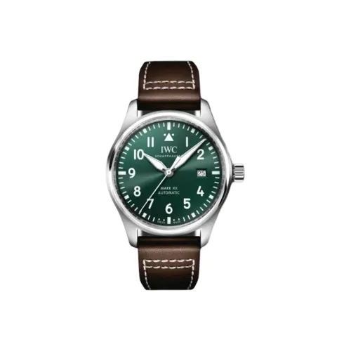 IWC Автоматический Механический Часы Мужской Pilot Collection 40 мм Зеленые