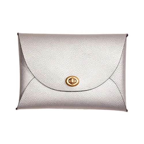 COACH Pouch Кожа Сумка для документов Клатч Маленький Женский Металл Серебряный
