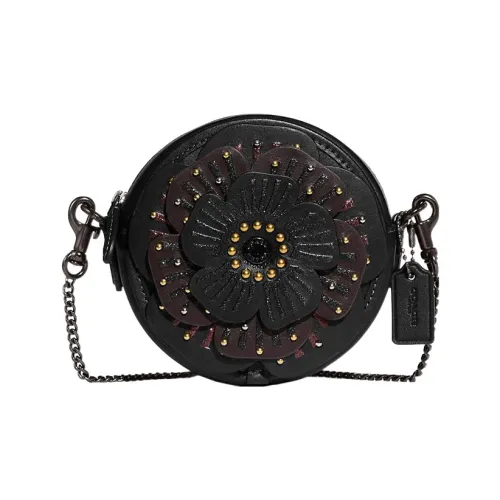 COACH Перчаточная дубленая кожа Сумка через плечо Мини Женская Черная