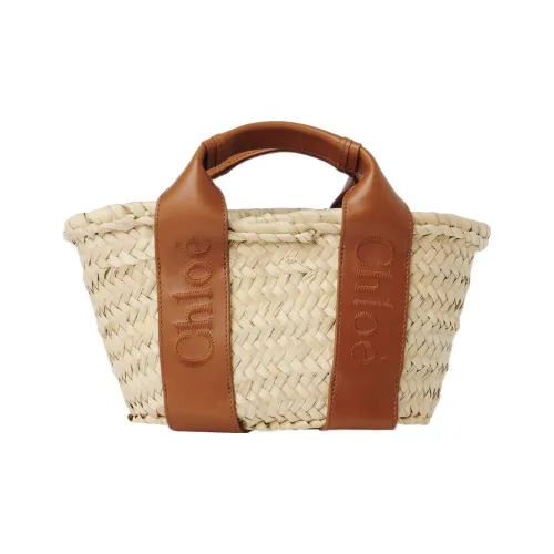 Chloe Raffia с гладкой телячьей кожей сумка через плечо маленькая сумка женская коричневый