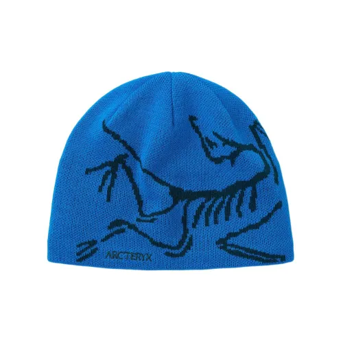 Arcteryx Шерсть Переработанный Полиэстер Смесь Шапки-бини Унисекс