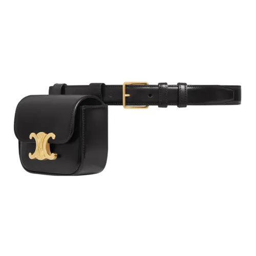 CELINE Triomphe Коровья кожа Бананка Мини Женские Черный