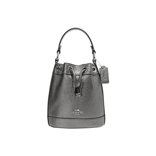 COACH Dempsey Кожа Ведро Сумка Сумка Сумка через плечо Сумка через плечо Мини Женская Металл Серебряный