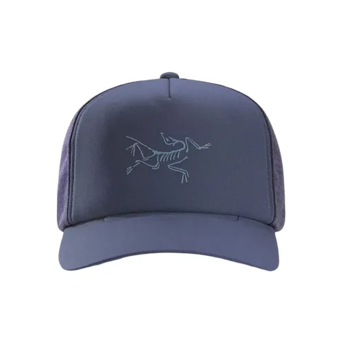 Arcteryx Полиэстер Кепки Унисекс