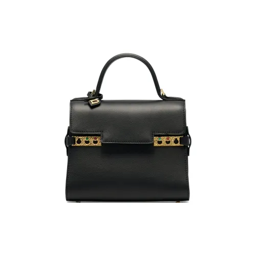 Delvaux Tempête Сумки Женские