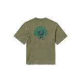 Кассель зеленый