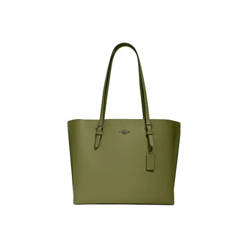 COACH Mollie Двойная сторона кожаная сумка-тоут сумка для покупок сумка через плечо большая женская травяного зеленого цвета