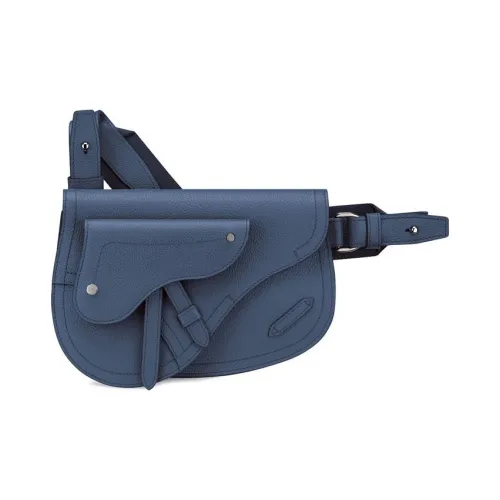 DIOR Седло Grained Телячья кожа Седло Сумка Сумка через плечо Бананка Sling Сумка Мужская Серый Синий