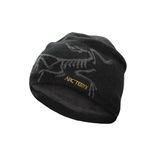 Arcteryx Мериносовая шерсть Шапки-бини Унисекс